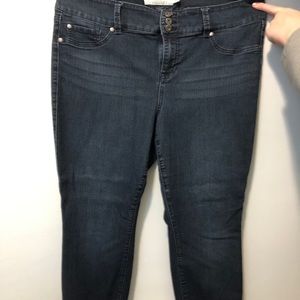 Torrid Dark Wash Size 20R Jeggings